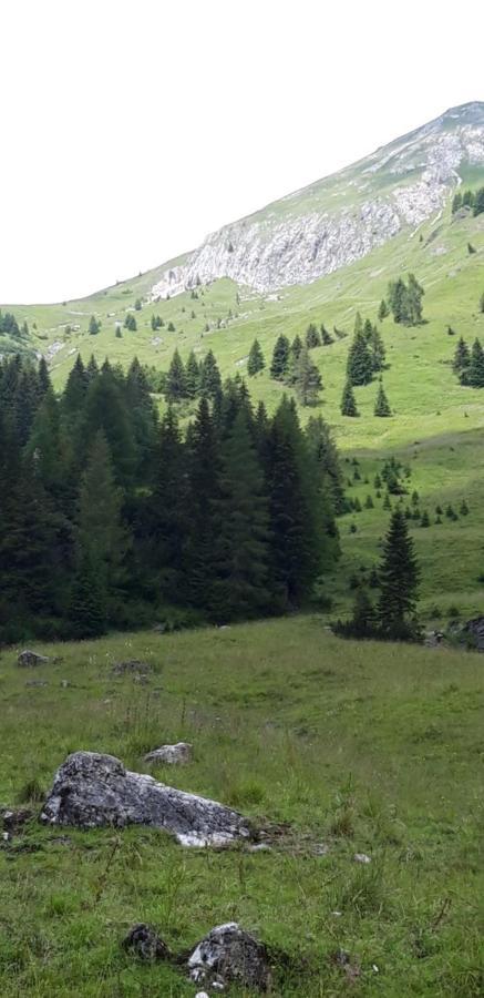 Appartamenti Patrizia San Pietro di Cadore Εξωτερικό φωτογραφία