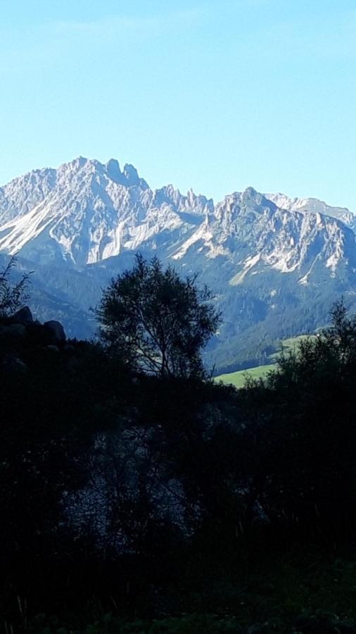 Appartamenti Patrizia San Pietro di Cadore Εξωτερικό φωτογραφία