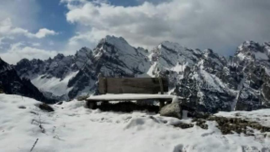 Appartamenti Patrizia San Pietro di Cadore Εξωτερικό φωτογραφία