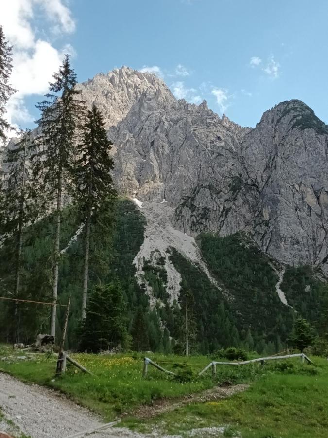 Appartamenti Patrizia San Pietro di Cadore Εξωτερικό φωτογραφία