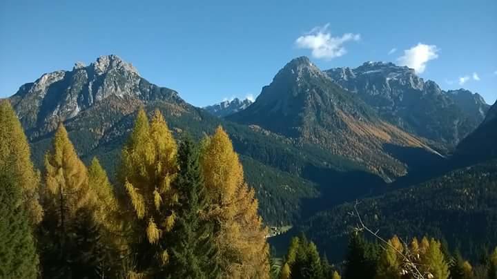 Appartamenti Patrizia San Pietro di Cadore Δωμάτιο φωτογραφία