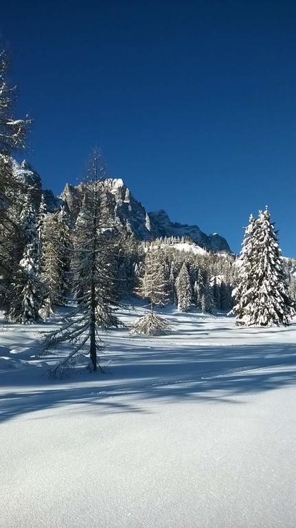 Appartamenti Patrizia San Pietro di Cadore Εξωτερικό φωτογραφία