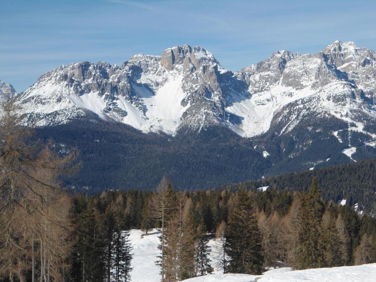 Appartamenti Patrizia San Pietro di Cadore Εξωτερικό φωτογραφία